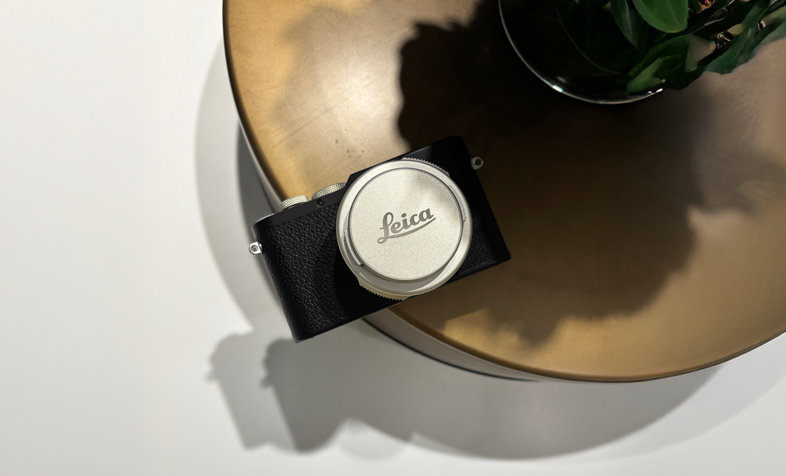 A Century's Echo in a Pocket: The Leica D-Lux 8 (100 Years of
